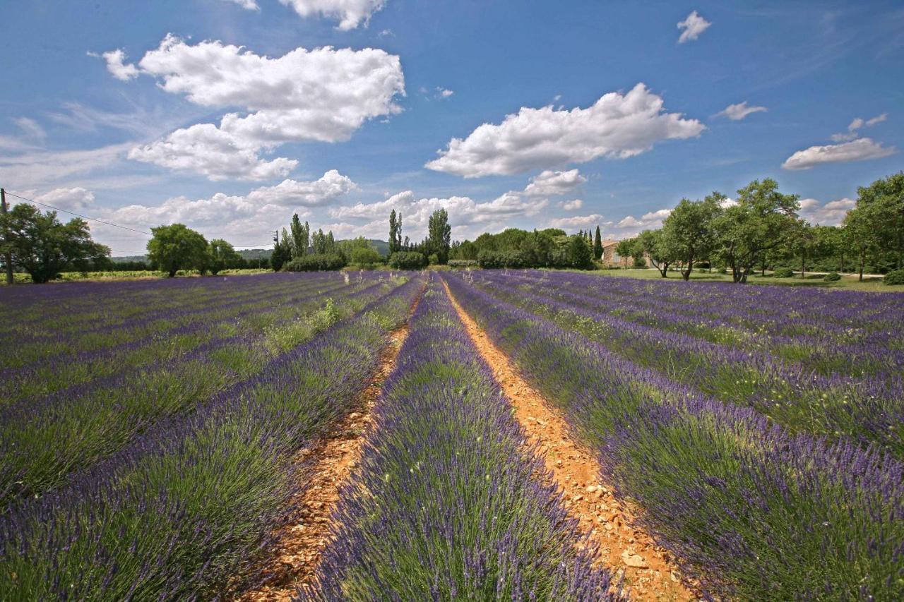 Gites Dans Mas En Pierres Robion en Luberon المظهر الخارجي الصورة